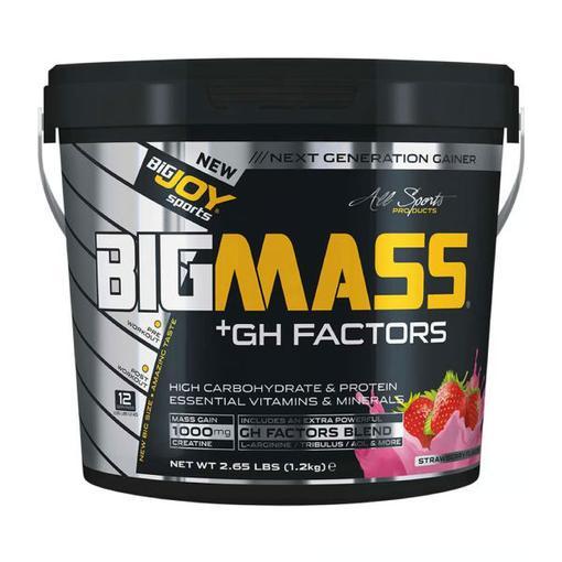 Resim BigJoy Sports Big Mass +GH Factors 1200 Gr - Çilek