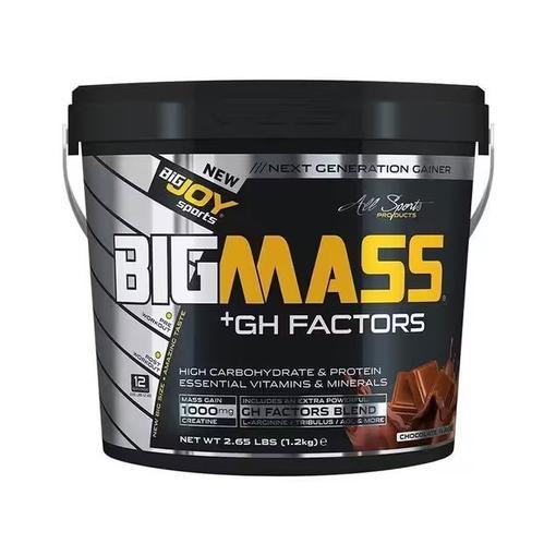 Resim BigJoy Sports Big Mass +GH Factors 1200 Gr - Çikolata