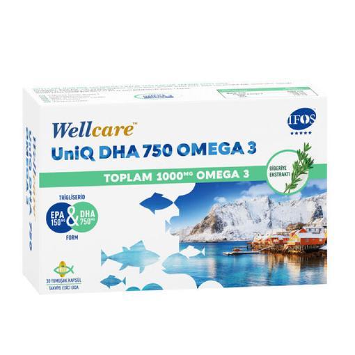 Resim Wellcare Omega 3 Balık Yağı 750 mg 30 Kapsül